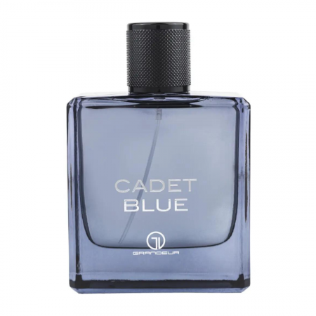 Tipuri Parfumuri - Cadet Blue 100ml - Apa de Parfum, barbati